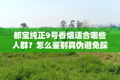 都宝纯正9号香烟适合哪些人群？怎么鉴别真伪避免踩坑？