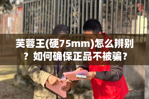 芙蓉王(硬75mm)怎么辨别？如何确保正品不被骗？